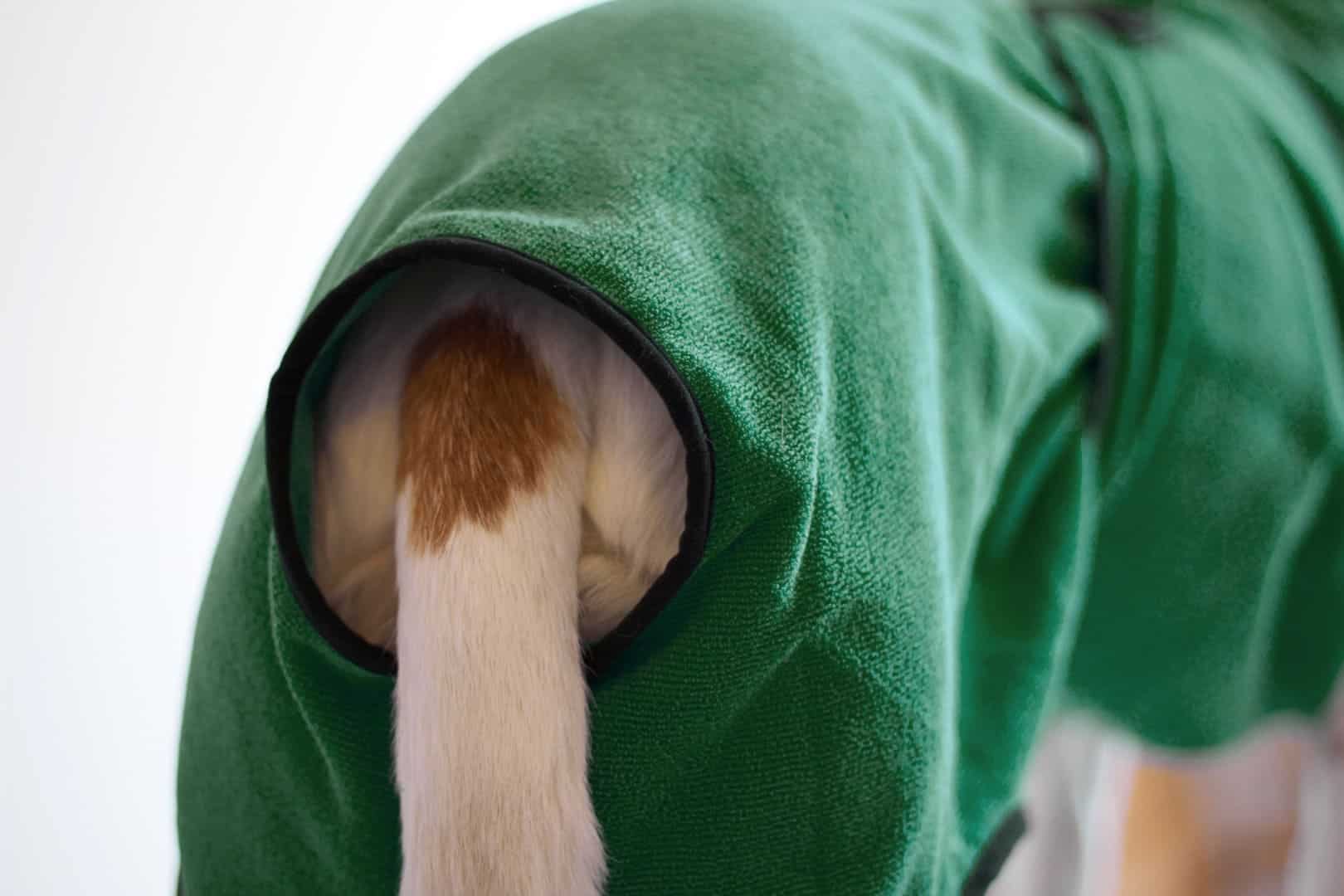 hundebademantel-grün