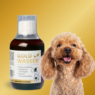 Kollodiales Gold für Hunde
